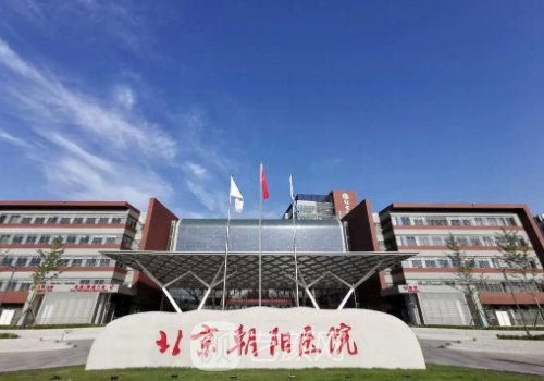 北京朝陽(yáng)醫(yī)院整形美容科