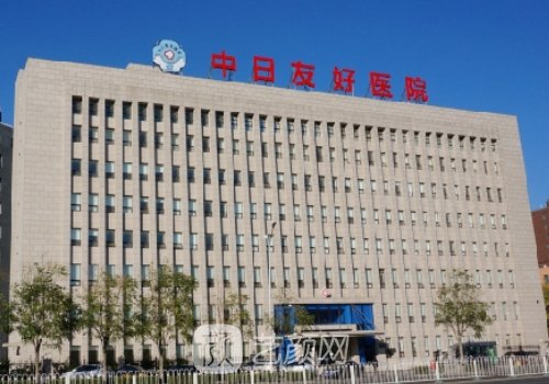 中日友好醫(yī)院整形外科怎